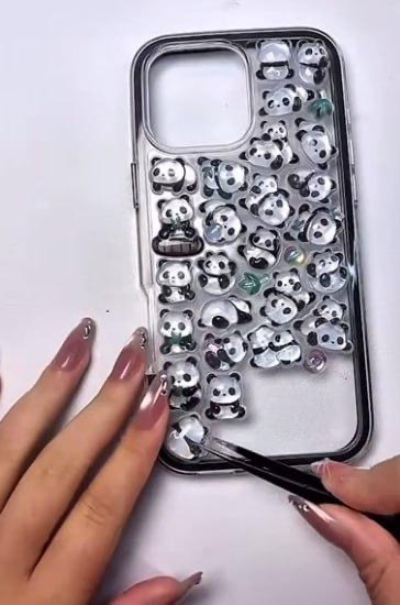 Phone case sticker